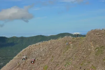 DSC_3696 (Large).JPG